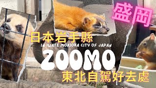 日本東北地方好去處 | 岩手縣盛岡市ZOOMO(盛岡市動物公園) | 好啱一家大細自駕遊😃