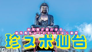 【仙台】地元民が紹介する地元民でもよくわかってないすごい場所7選【1日で回れる珍スポ】【愛子大仏】