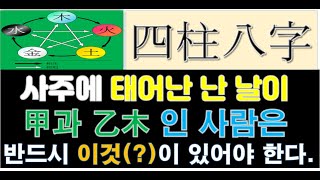 사주 팔자  태어난 날이 갑(甲)과 을(乙)木 일에 태어났다면 반드시 필요한 이것(?)이 있어야 한다.. 과연 무엇이 있어야 하는 지 알아 봅니다.