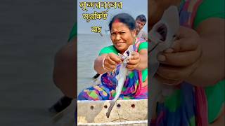 সুন্দরবনের নদীতে এই মাছটি ধরা নিষিদ্ধ #new #fish #catching #shorts #video