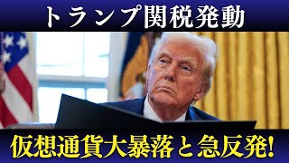 【BTC大暴落】ピーター・シフが警告！クリプトの冬は本当に来る？しかし、ビットコイン、本日急反発！これは一時的なのか？トランプ関税の影響は？