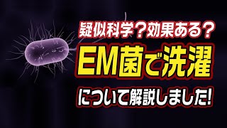 疑似科学？効果ある？EM菌で洗濯について解説してみました！