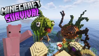 Minecraft Survival Ep5 Derpy melon!