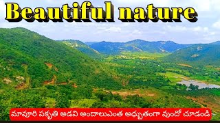 Beautiful nature place ||AP chittor అందమైన ప్రకృతి మావూరి అడవి అందాలు