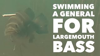 Swimming a General for Largemouth Bass #shorts