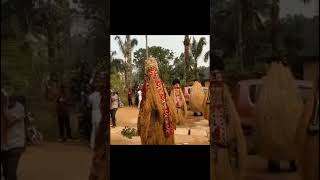 Igbo masquerade on display #shorts #igboacademy #igbokwenu