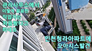 아파트 외부 창틀 실리콘 시공중 관리사무소에서 이렇게 꼼꼼하게 작업하는 사람 처음 봤다고 하네요 / 세상의 모든 실란트 시공은 밑작업이 가장 중요합니다