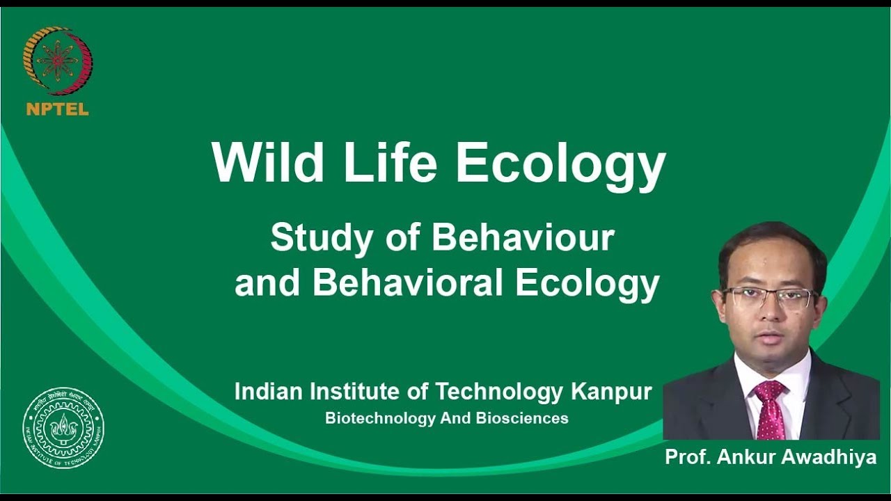 Noc19-bt09 Lecture 09-Study Of Behaviour And Behavioral Ecology - YouTube