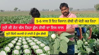 ਫੁੱਲ ਗੋਬੀ ਦੀ ਖੇਤੀ। Cauliflower Farming। Gobhi ki kheti। Cauliflower A2Z Farming। @Sahibsandhu5911