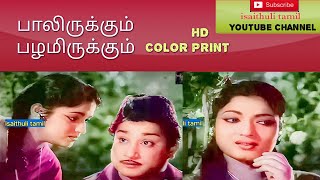 OLD TAMIL COLORIZED - PAALIRUKKUM PAZHAMIRUKKUM | பாலிருக்கும் பழமிருக்கும் | PAAVA MANNIPPU | 1961