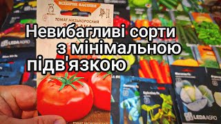 Низькорослі сорти Томатів 🍅🍅🍅 з мінімальним доглядом