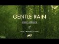 Gentle Rain On Forest Ground | NO MIDROLL ADS | Soft Rain Sounds For Sleeping