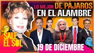 Silvia Pinal, Julián Gil, Cazzu | Lo Mejor de Pájaros en el Alambre 19/12/2024