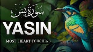 World's most beautiful Quran recitation of Surah Yasin (Yaseen) سورة يس | shumail voice