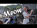 Stray Cat Strut - Cover by Telma Pinguelo and The Little Band