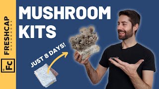 Grow Mushrooms In Just 8 DAYS! Mushroom Growing Kit Review (anyone can do this at home...)