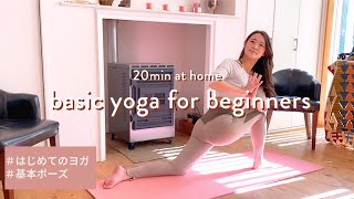 basic yoga for beginners 20min