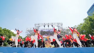 [4K] デンソーグループ結仁　にっぽんど真ん中祭り 2019 どまつり 日曜日