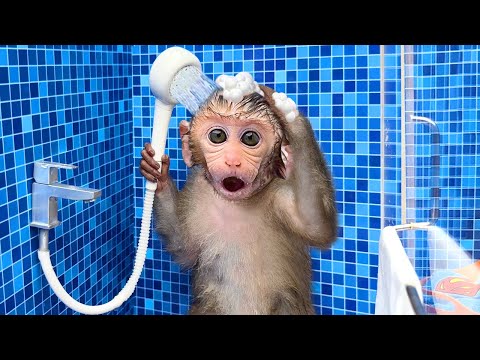 Monkey Baby Bon Bon Oes To The Toilet And Plays With Ducklings In The