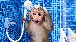 Download Monkey Baby Bon Bon oes to the toilet and plays with Ducklings in the swimming pool mp3