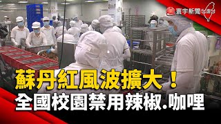 蘇丹紅風波擴大！全國校園禁用辣椒.咖哩｜#寰宇新聞 @globalnewstw