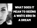 What Does It Mean To Seeing a White Bird in a Dream?