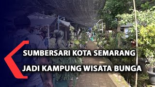 Sumbersari, Kampung Wisata Bunga di Kota Semarang