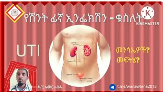 የሽንት ቧንቧ (ፊኛ) ኢንፌክሽን መፍትሔ! UTI treatment #uti #urinaryinfection #kidney @ethiotenacenter