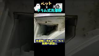 ペットのいる家は要注意⚠