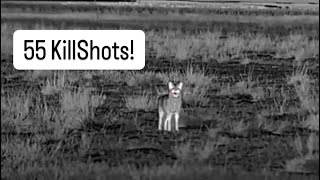 55+ Thermal Kill Shots Suppressed!