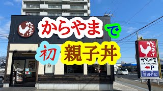 浅草からあげ からやま 姫路中地店 の 極親子丼セット