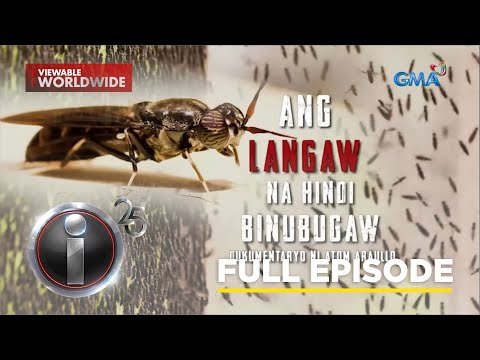 ‘Ang Langaw na Hindi Binubugaw’, dokumentaryo ni Atom Araullo (Full episode) I-Witness