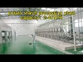 small scale potato starch production line