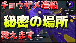 チョウザメ造船でローラーが無双できる秘密のポジション【スプラローラー立ち回り解説】