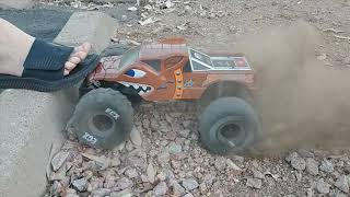 ecx  brutus