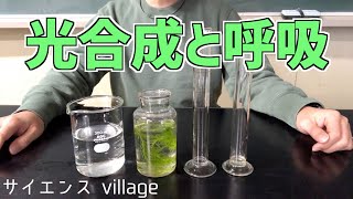 中学１年　理科『光合成と呼吸』【現役教師による授業動画】