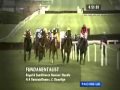 Cheltenham Memories 2004 Pt 1