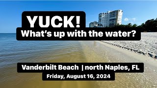 Ugly Water! Robb’s Friday Morning Beach Report for North Naples, FL | August 16, 2024