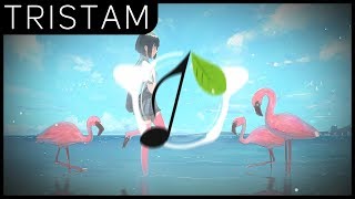 Tristam - Questions