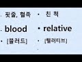 기초영어 이야기속 가족영어단어 생활영어 누구나영어 every one 친절한 대학 영어 쉬운영어 명강의 막례영어 단어로하는 영어회화 .한글로 배우는 영어 초급영어