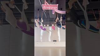 #플라잉요가 #flyingyoga #키즈플라잉 #플라잉 #수내 #비욘드바디수내점 #효리핏