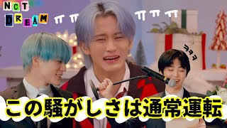 いつでもどこでも騒がしいドリムちゃん達【日本語字幕 / NCT DREAM / NCT】