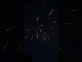 LOG SPLITTER FIREWORK - Winda Fireworks