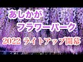 【あしかがフラワーパーク】-4K- wisteria 幻想的な藤の花　2022大藤まつりライトアップ開幕　2022年4月20日　栃木県足利市