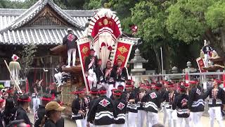 令和元年 深井地区だんじり祭り 野々宮神社へ宮入する深井東町のだんじり