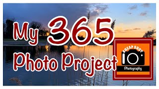 My 365 Photo Project