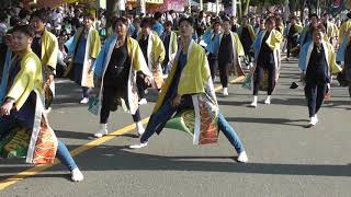 2019･08･03 ﾘｿﾞﾝなるこ会飛鳥彩夏祭一日目：南流し①