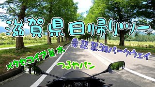 [モトブログ]まさかの事故に遭遇！？メタセコイア並木・奥琵琶湖パークウェイ・つるやパンの滋賀日帰りツーリング「CBR400R」