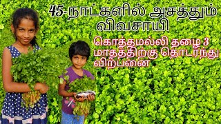 கொத்தமல்லி தழை சாகுபடி ph:9498175323