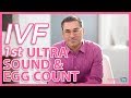 What to expect on your IVF | FIRST ULTRASOUND & EGG COUNT (Marc Sklar The Fertility Expert)